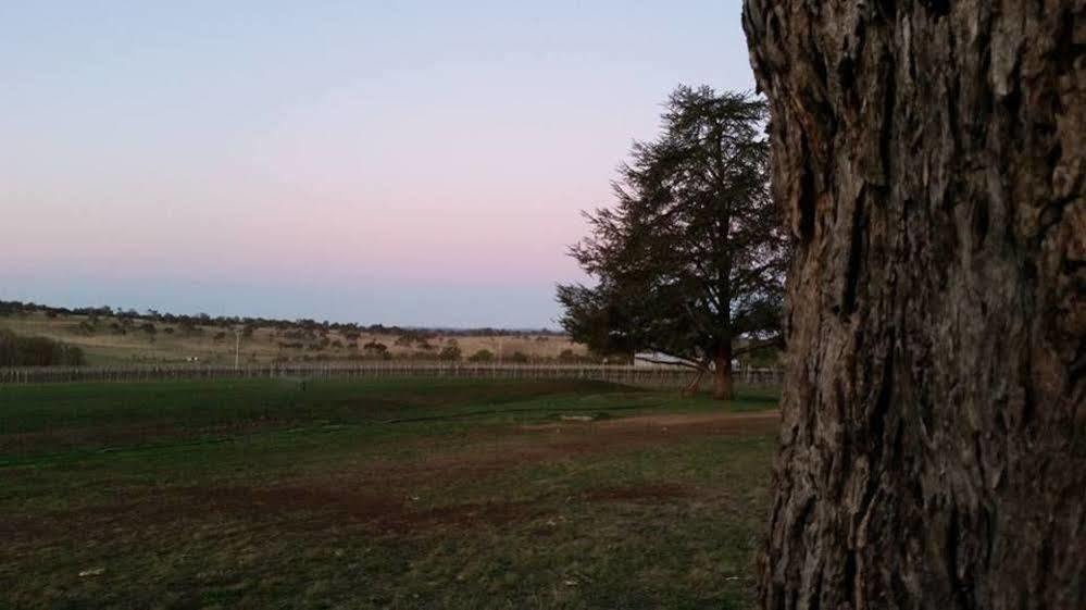 Petersons Armidale Winery And Guesthouse Exterior photo