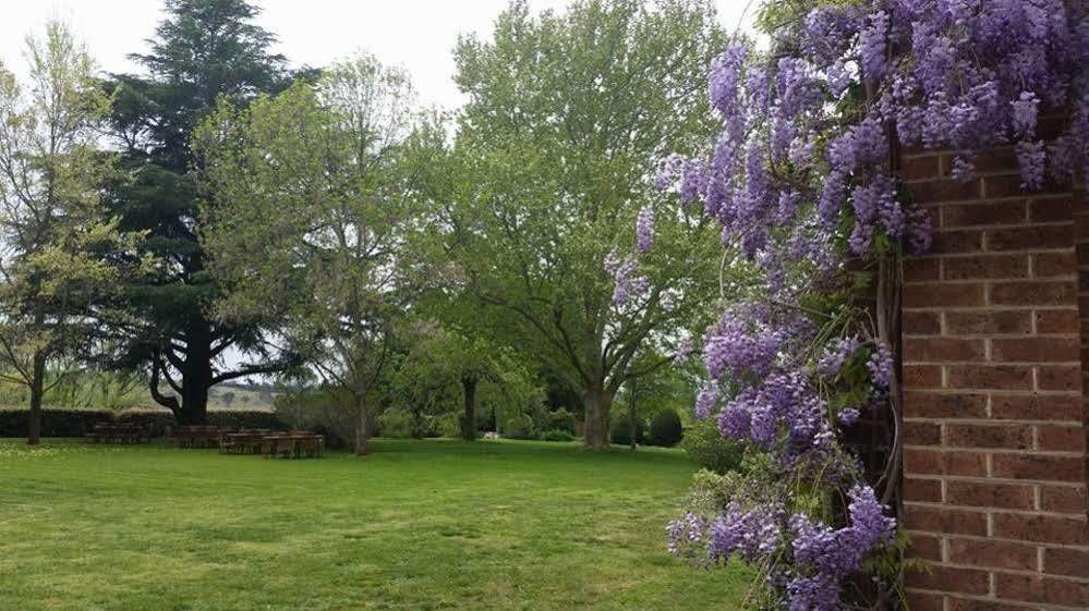 Petersons Armidale Winery And Guesthouse Exterior photo